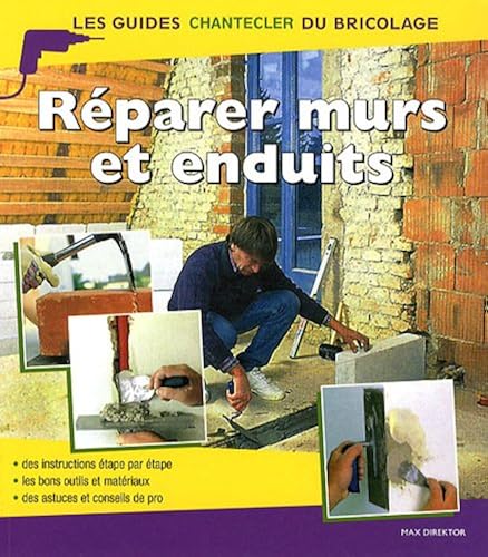 Download Réparer murs et enduits PDF