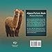 Alpaca Picture Book