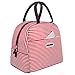 BALORAY Lunch Bag Tote Bag Lunch Organizer Lunch Holder Lunch Container (red Stripes)