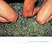 Jeff Burton: Untitled (English and Japanese Edition) by
