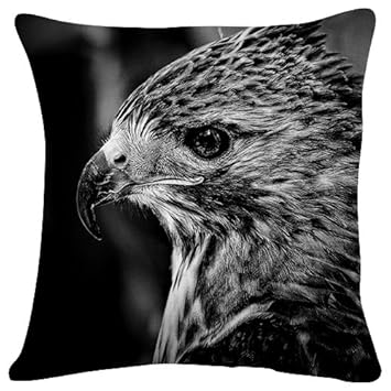 Amazoncom Falcon Bird Beak Predator Throw Pillow Case