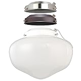 Westinghouse 7785200 Led Schoolhouse Indoor/Outdoor