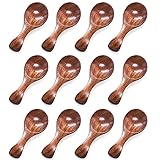 HansGo Small Wooden Spoon, 10PCS Mini Condiment Seasoning Salt Spoon Honey Coffe
