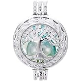 Vie jeune 10pcs Silver Pearl Cage Locket Pendants, Essential Oil Diffuser DIY Necklace Bracelet Jewelry Making Craft, Bulk Beads Aromatherapy Diffuser Charms Gifts for Women Girls