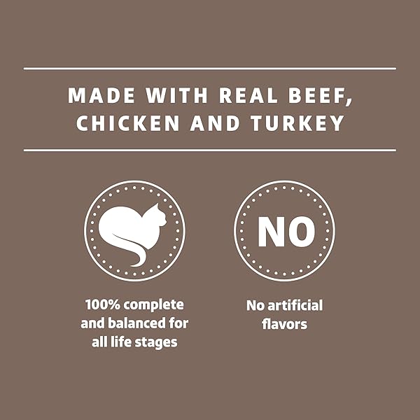 AMAZON BRAND – WONDER BOUND GOURMET WET CAT FOOD IN GRAVY VARIETY PACK (TURKEY, CHICKEN, BEEF), POULTRY, MADE IN USA, 3 OUNCE (PACK OF 24)