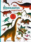 Les dinosaures: Document jeunesse, Mes magnétiques by