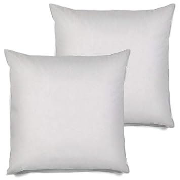 Amazon Com Msd 2 Pack Pillow Insert 30x30 Hypoallergenic Square