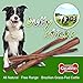 GigaBite by Best Pet Supplies - USDA & FDA Certified Free Range Grass Fed Odor-Free Plain Beef Pizzle Bully Sticks, Healthy Dental Dog Chew /w No Additive 100% ALL Natural - Premium Select, 12 inch, 10 Pc/Pack