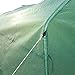 BenefitUSA Hot Green House 12'X7'X7' Larger Walk in Outdoor Plant Gardening Greenhouse Plant Protector