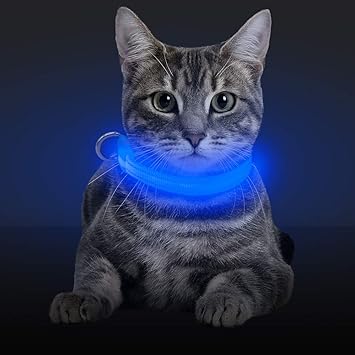 light up cat collar uk