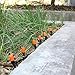 DIY Drip Irrigation Kit Plant Watering System,1/4