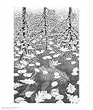 Three Worlds Art Poster Print by M. C. Escher, 22x26