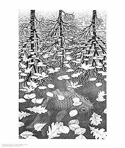Three Worlds Art Poster Print by M. C. Escher, 22x26