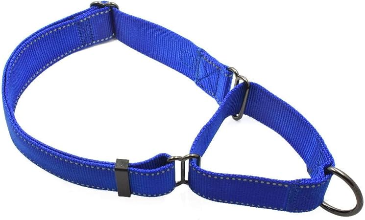 extra large martingale dog collars