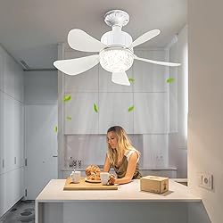 Dalouguan Socket Fan Light with Remote, 18" Clear