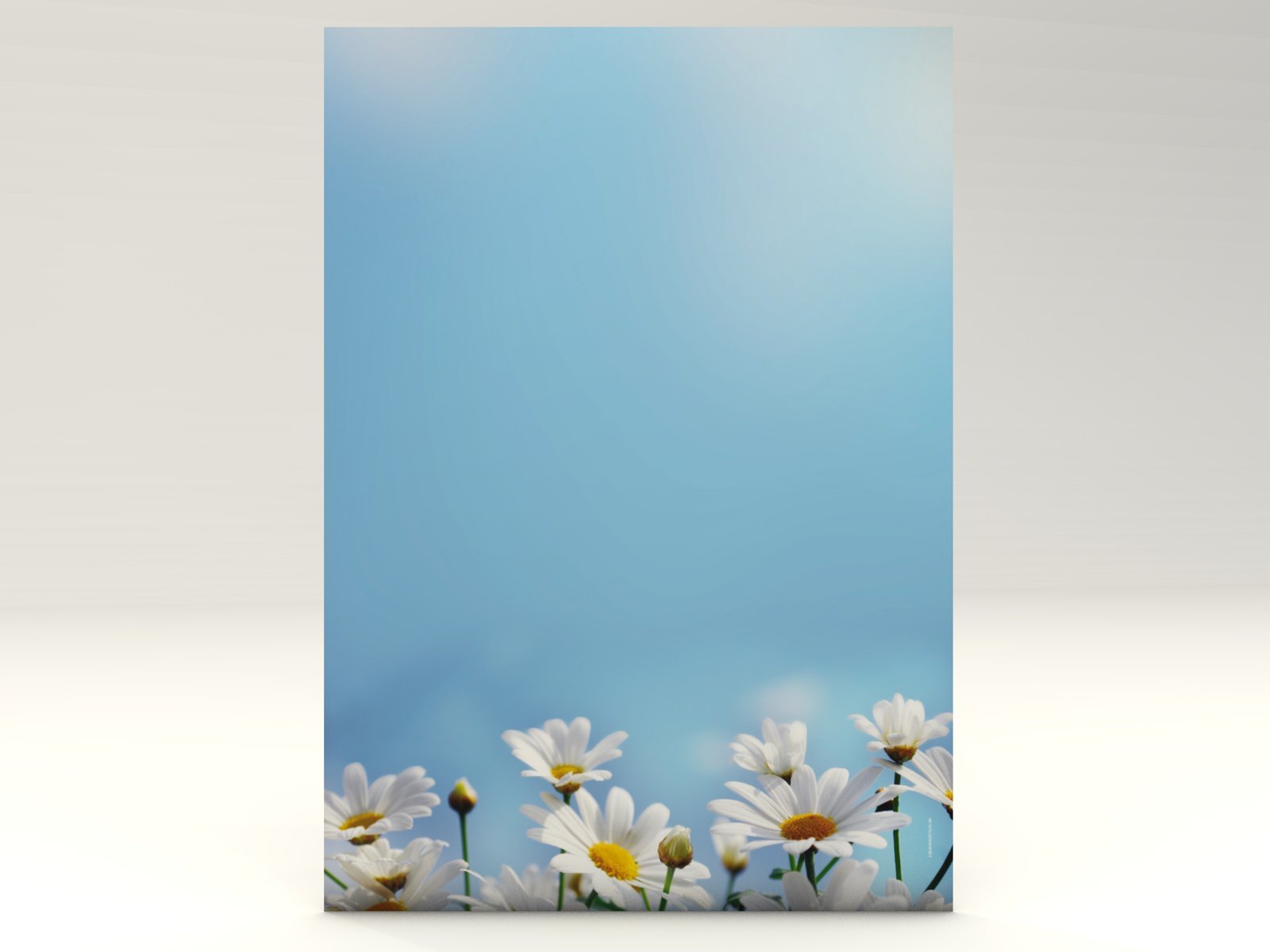 Gänseblümchen, 100 Blatt Motivpapier 100g/qm