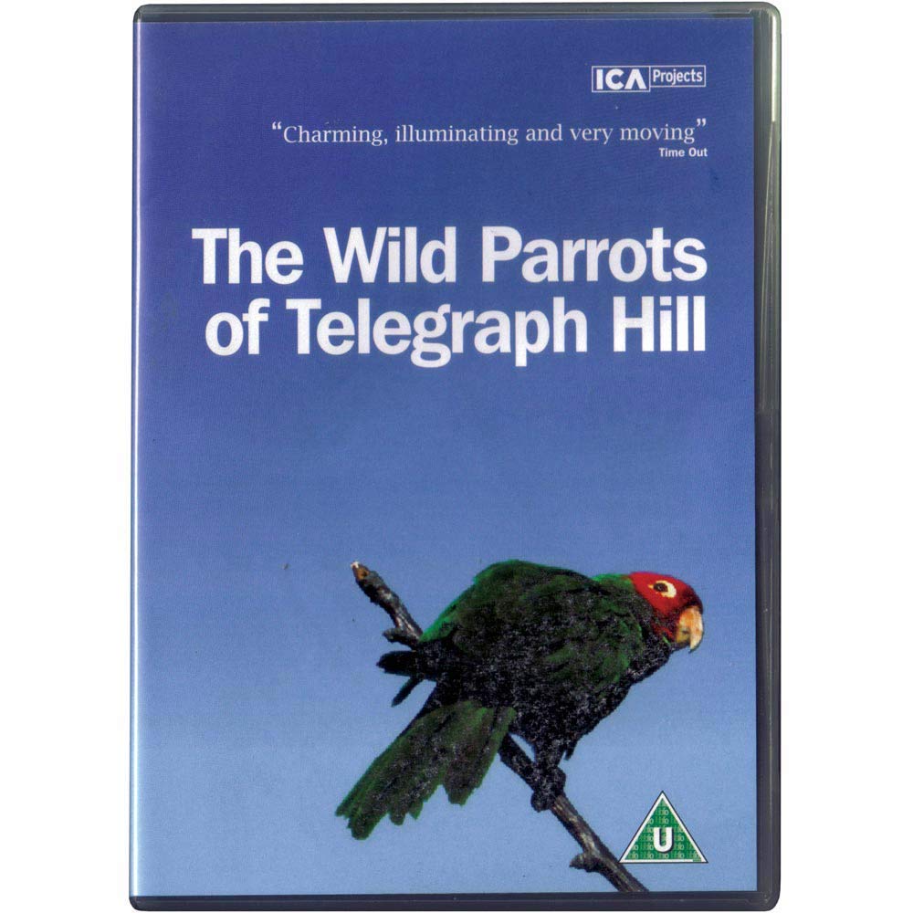 The Wild Parrots Of Telegraph Hill [DVD]