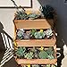 Ropedoncedar Vertical Garden Box Kit – Freestanding Indoor Outdoor Planters Made of Cedar for Growing Herbs, Vegetables, Succulents and Flowers on Your Balcony, Patio or Other Small Spacethumb 2