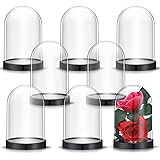 Zhengmy Plastic Dome Display Case Cloche Bell Jar