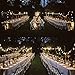 LE 100 LED 33ft Globe Ball Long String Lights, 8 Modes, Fairy Twinkle Bulb, Waterproof Outdoor Garden Patio Party Wedding Christmas Decoration, UL Listed Power Adapter, Warm White