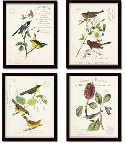 Amazon.com: LoveThePrint Large Collection of Antique Bird