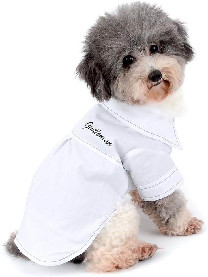 Ranphy 2018 New Gentlemen Casual Shirt for Small Dog/Cat Boy Botton Down Woven Shirt Puppy Clothes White Size L