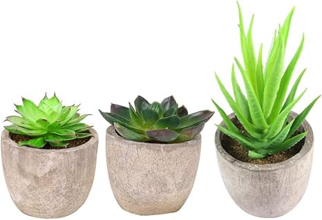Amazon Ounona 3ピース 人工観葉植物 フェイクグリーン 光触媒 盆栽 かわいい 面白い 多肉植物 オフィス リビングルーム 人工観葉植物 オンライン通販 Amazon Ounona 3ピース 人工観葉植物 フェイクグリーン 光触媒 盆栽 かわいい 面白い 多肉植物 オフィス リビングルーム 人工観葉植物 オンライン通販