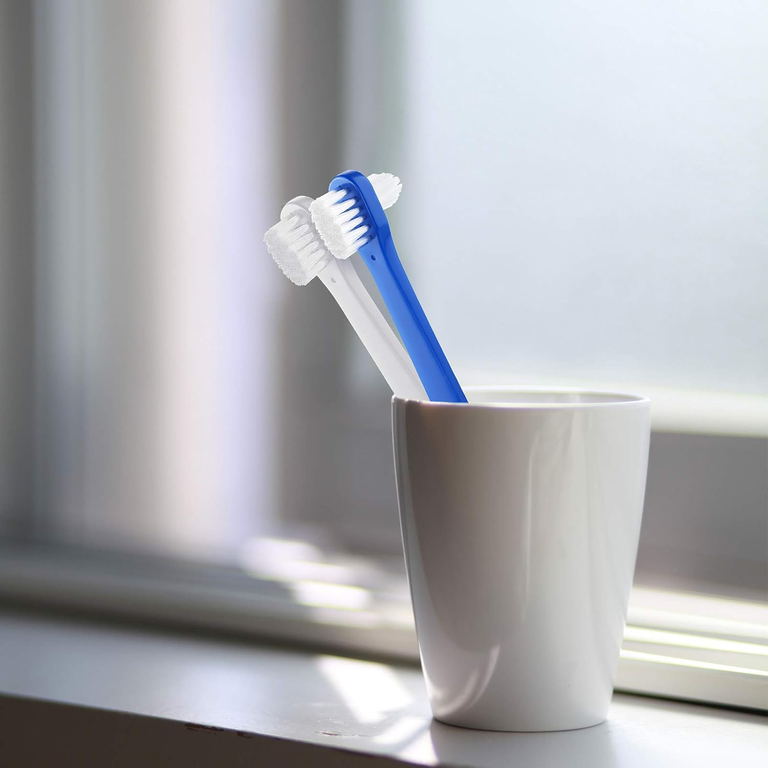 6 Pieces Denture Brush Dual Head Toothbrushes Hard Denture Cleaning Brush Denture Toothbrush Cleaning Brush False Teeth Brush Toothbrush for False Teeth Cleaning, 2 Colors : Beauty