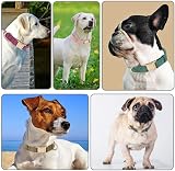 YUDOTE Ultra-soft Corduroy Dog Collar Medium 31-49cm Green view 5