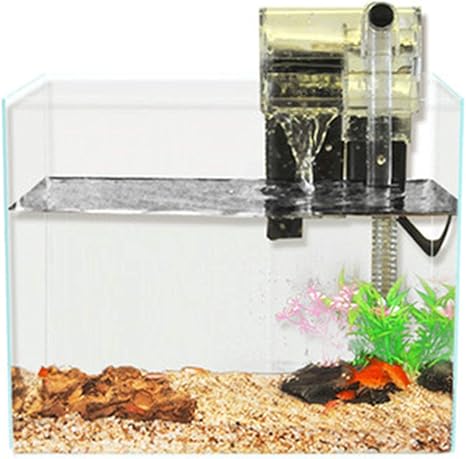 eco fish tank