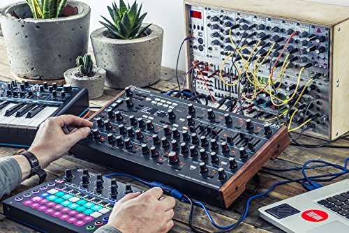 Novation Peak Eight-Voice Polyphonic Desktop Synthesizer