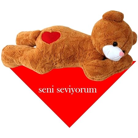 TE-Trend XXL Riesenteddy Geschenk Bär Teddybär Kuscheltier Plüsch Stoff Riesen Teddy 100cm liegend Herz Braun Tuch seni seviy