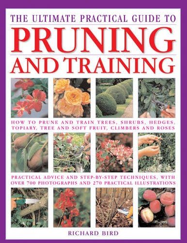 Pruning: Training and Topiary