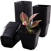 Tulpeed 100 Packs Square Nursery Pots for Plants 4 Inch Succulent Plant Pots Set Plastic Seedling Starting Pots with Drainage Holes Nursery Pots Variety Pack Flower pots Planter Seed Starter, Black