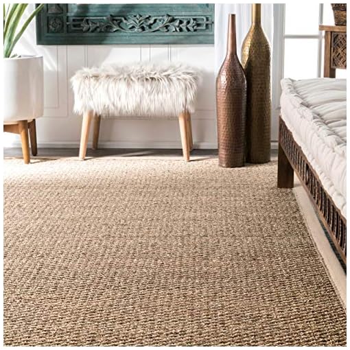 nuLOOM Elijah Farmhouse Seagrass Area Rug, 8' x 10', Beige Beachfront