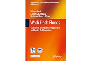 Wadi Flash Floods: Challenges and Advanced Approaches for Disaster Risk Reduction (Natural Disaster Science and Mitigation En