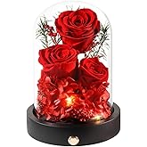 Pinnetetti Preserved Flowers in Glass Dome with LED,Red Roses for Delivery, Valentines Day Gifts for Women Her Wife Mom on Mothers Day, Anniverysary, Birthday