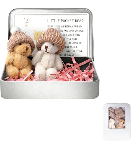 My Little Worry Bear – Plüsch-Teddy Mit Grußkarte & Box – Emotionaler Support Für Freunde, Familie & Kinder – 2 Stück (Rosa & Braun)