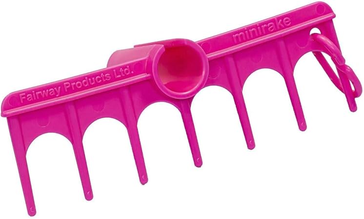 personal mini golf rake