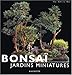 Bonsaï : Jardins miniatures by