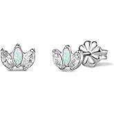 Limerencia Hypoallergenic G23 Pure Titanium Earrings | Crown Cubic Zirconia | F136 Implant Grade Piercing Studs| Suitable for Sensitive Ears Delicate Jewelry