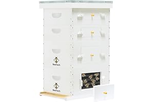 BeeTech Newest Windows 8 Frame Bee Hive Hand Painted Includes Unassembled Beehive Box with Beehive Frames and Foundations (2 Deep & 2 Medium)