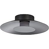 Golden Lighting Yep Luma Integrated LED Flush Mount in Graphite and Graphite Shade
