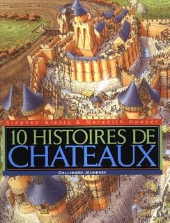 A Lassaut Dun Château Fort Amazonfr Richard Platt Livres - 