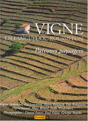 Vigne en Languedoc-Roussillon