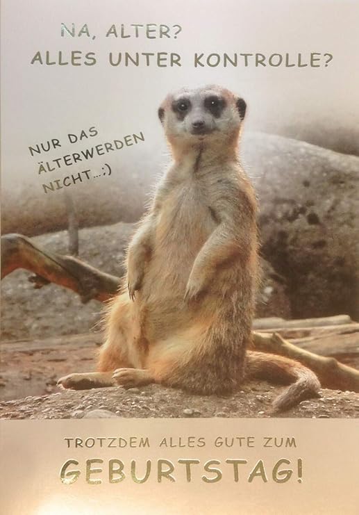 Xxl Carte D Anniversaire Suricate Tout Sous Controle Amazon Fr Fournitures De Bureau