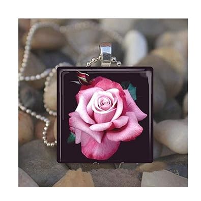 Fleur Rose Floral Garden Roses Amour Carrelage En Verre