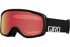 Giro Roam Snow Goggle