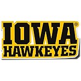 Desert Cactus University of Iowa Hawkeyes Vinyl Decal Laptop Water Bottle Car Scrapbook Sticker (IND 7)