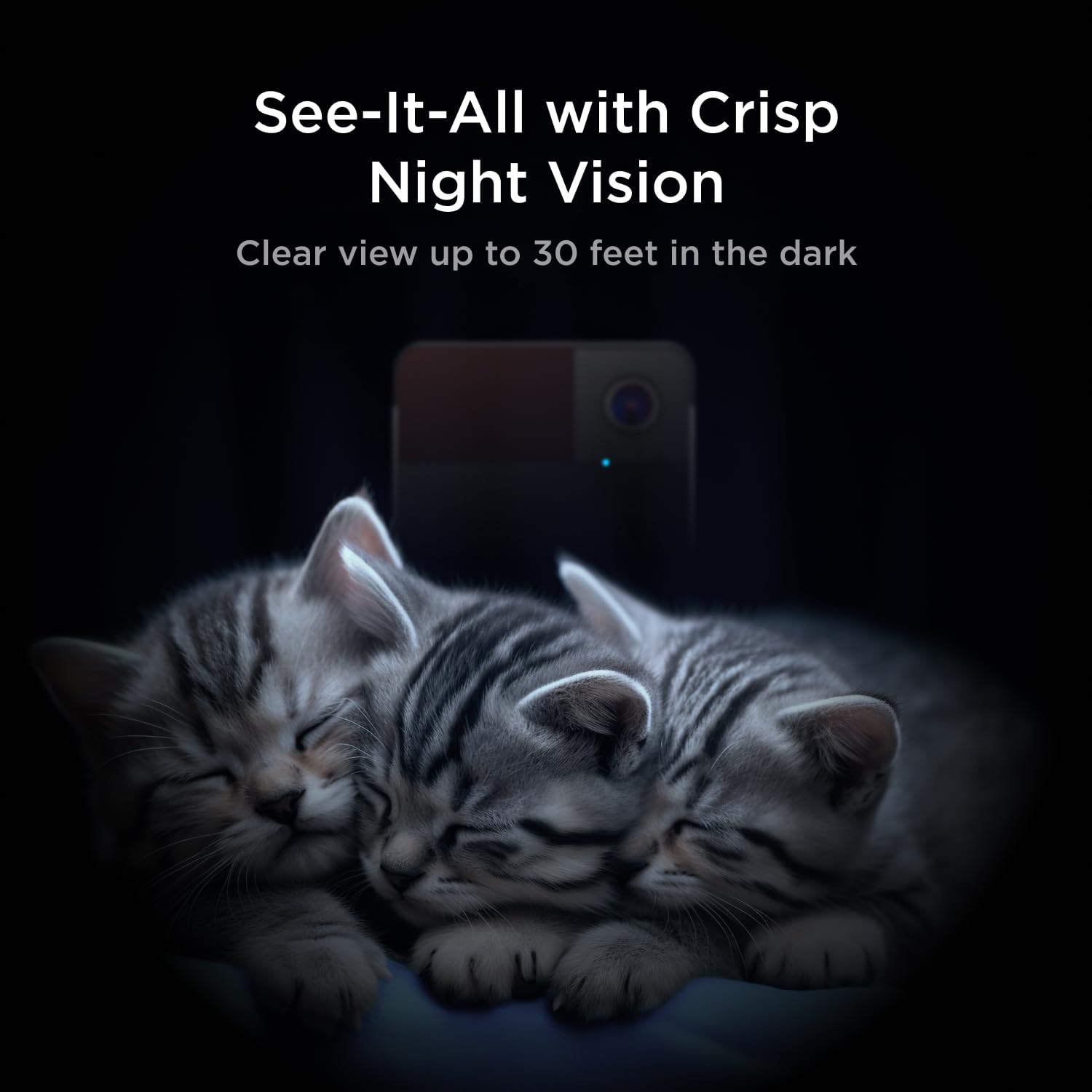 Cam with Play 2 Bundle | Play 2 Camera with Laser Toy, 1080p HD Video, Night Vision, Two-Way Audio, Sound and Motion Alerts, Cat and Dog Monitor